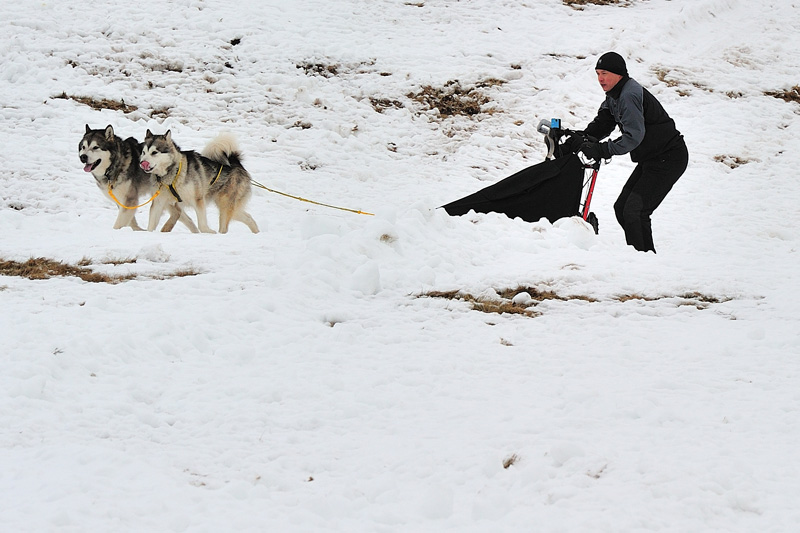 sleddog-giumello sleddog-giumello