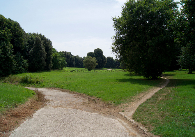 Bosco-Capodimonte Napoli