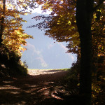Il sentiero verso il Rifugio Pernici