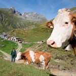 Osttirol