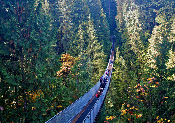 Capilano-Suspension-Bridge Capilano-Suspension-Bridge