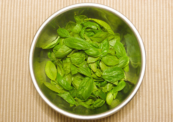 basilico piante aromatiche