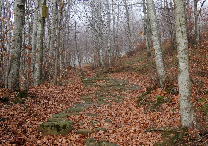 via-degli-dei via-degli-dei