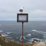 Isole Cies - foto Martino De Mori