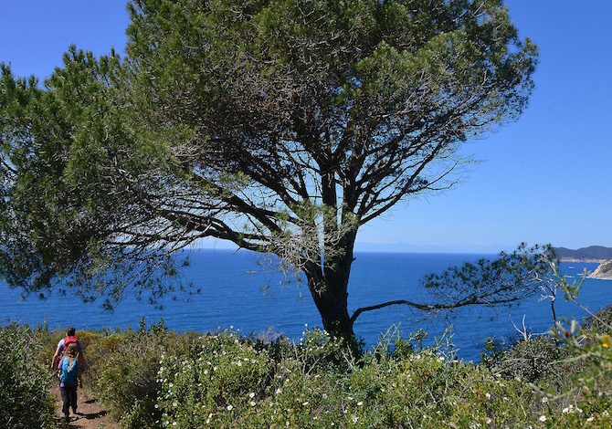 elba-trekking-piedi