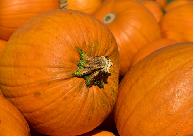 zucca-benefici-sport zucca-benefici-sport