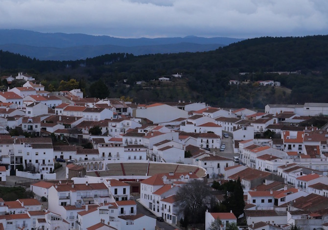 panasonic-lumix-gx9-prova-arena-afracena