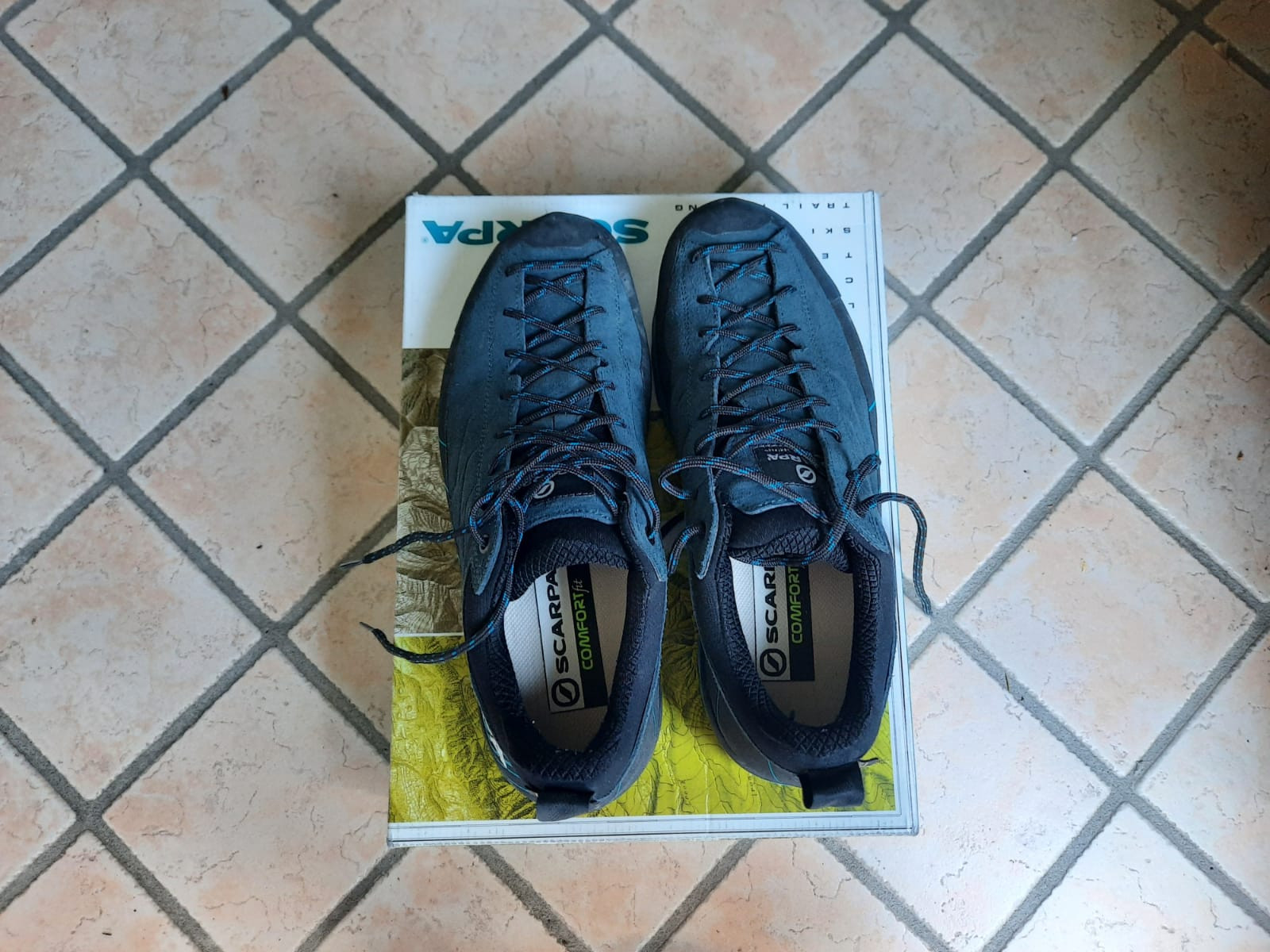 SCARPA Mescalito GTX