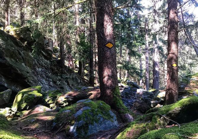 La mia Via Francigena a piedi: da Besançon al Gran San Bernardo in Svizzera