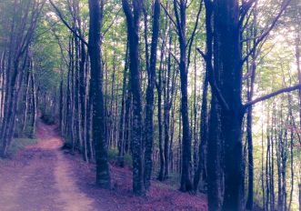 Mugello in autunno