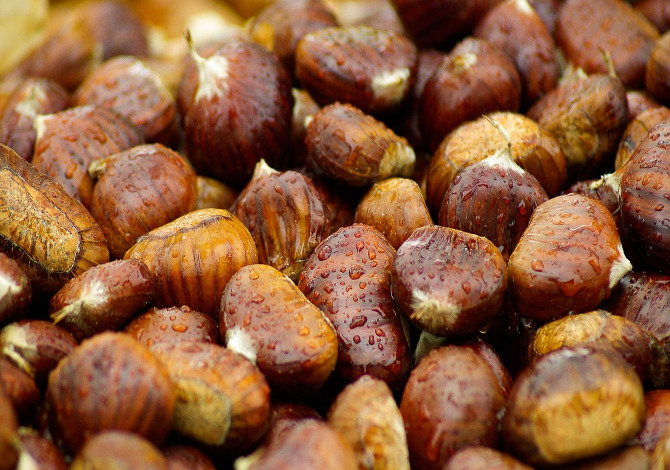 castagne-valle-aosta castagne-valle-aosta