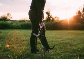 passeggiata con il cane