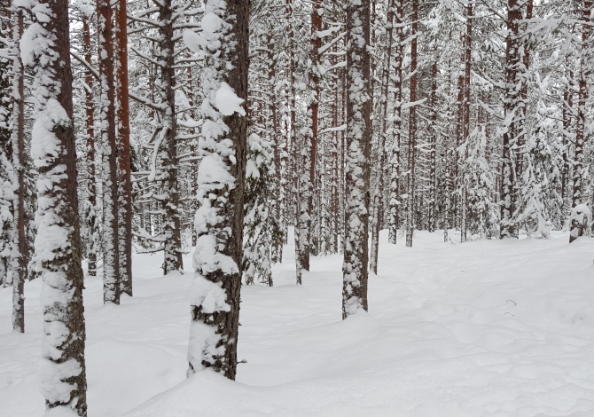 Vacanze natale in Lombardia
