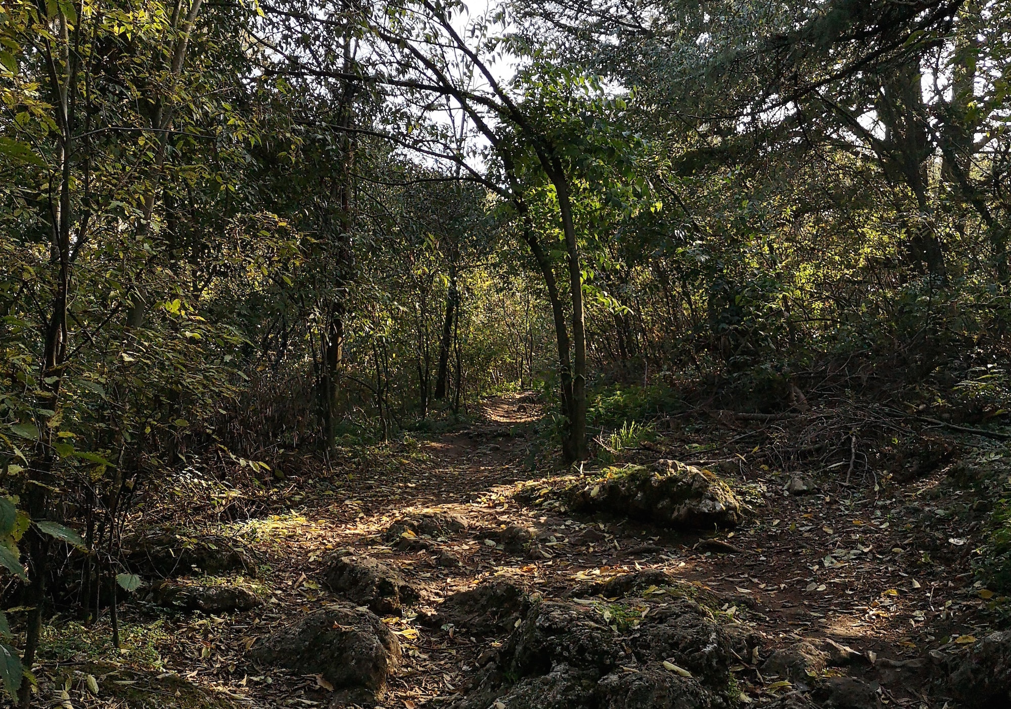 escursioni-in-lombardia-la-traversata-del-monte-orfano-in-franciacorta-sentiero