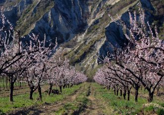 itinerari a piedi al confine tra Emilia e Romagna