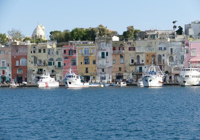 isole covid free