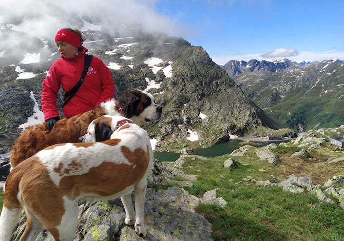 cosa-fare-in-estate-in-svizzera-5-cose-sorprendenti-del-canton-vallese-san-bernardo