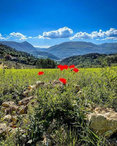 passeggiate-di-gruppo-in-umbria-dove-andare-a-luglio-trekking