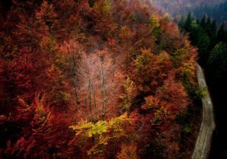 ottobre in Piemonte