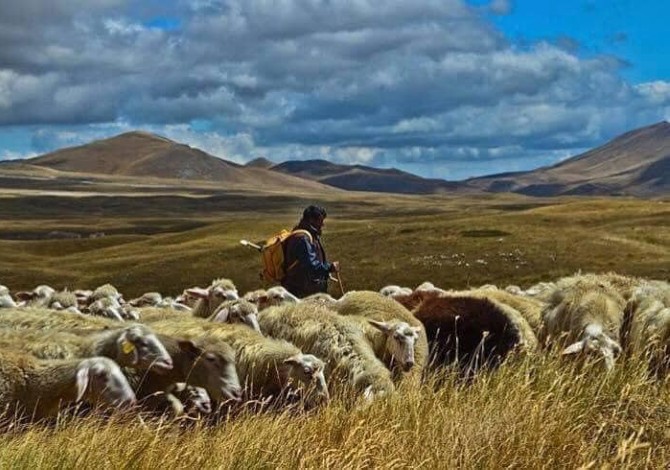 Tratturo Magno, il cammino da L'Aquila a Campobasso sulla Via della Transumanza-