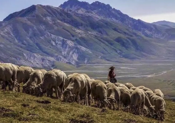 cammini-da-fare-in-autunno-in-italia-vie-della-transumanza