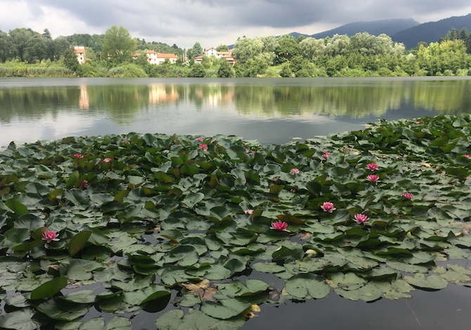 escursioni-in-brianza-sartirana