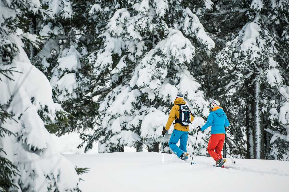passeggiate-neve passeggiate-neve
