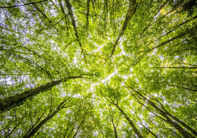 Sostenibilità o Greenwashing? Cosa dicono le Certificazioni eco-green dei capi sportivi