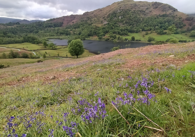 lake-district-rydall-foto-martino-de-mori