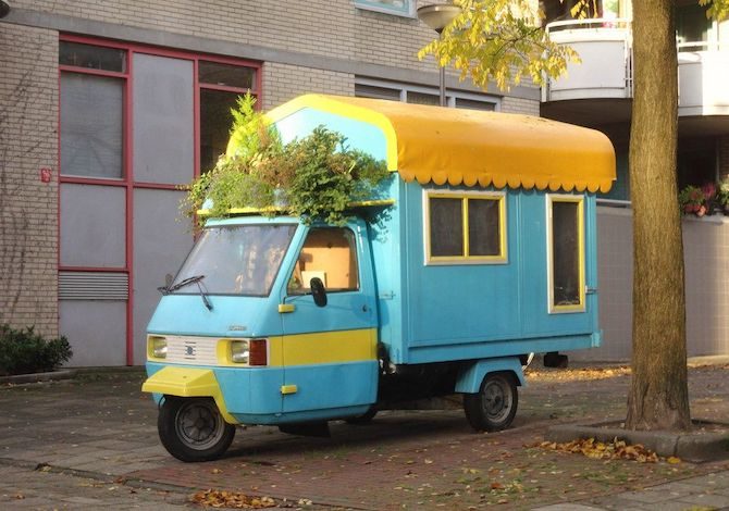 ape-camper