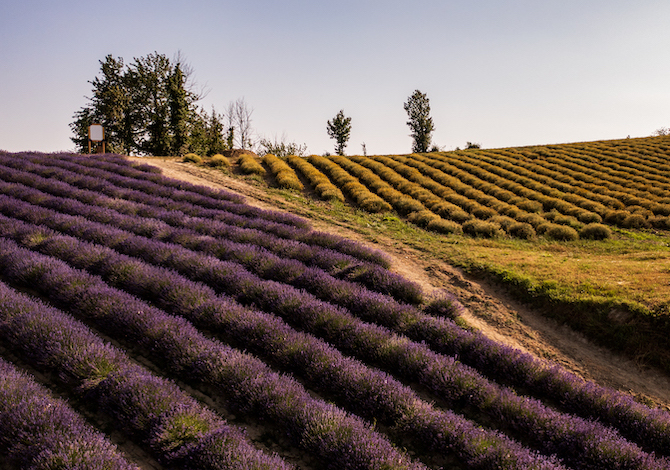 piemonte-in-bici-itinerari-langa-cebana
