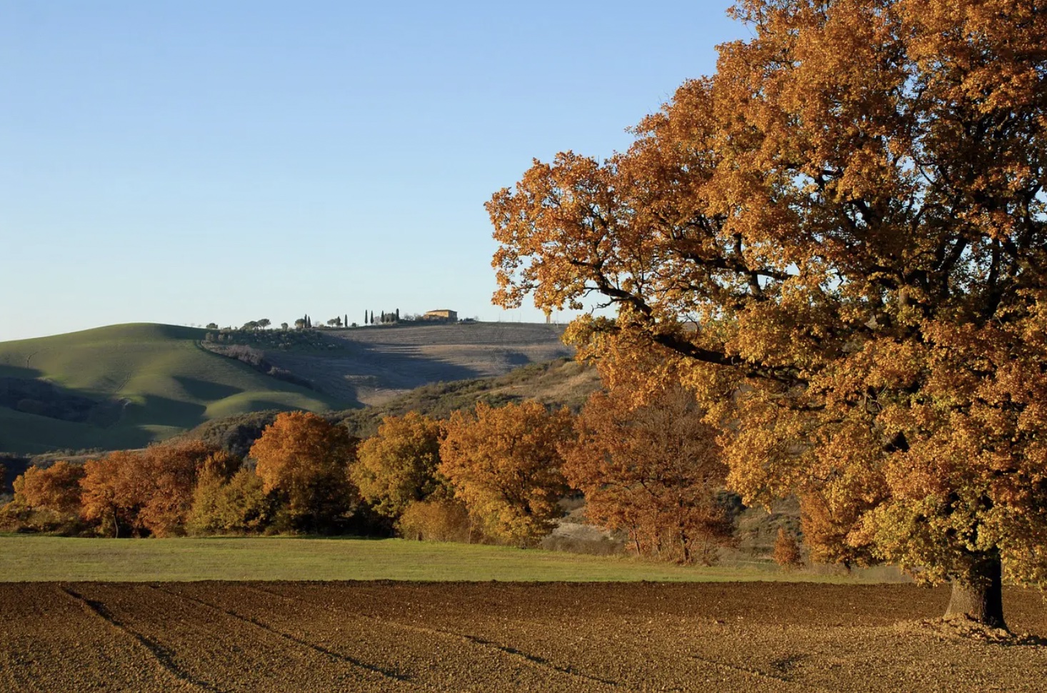 cammini-settembre-italia-cammino-s-antonio-padova-laverna