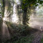 A-walk-in-the-woods-of-Garfagnana