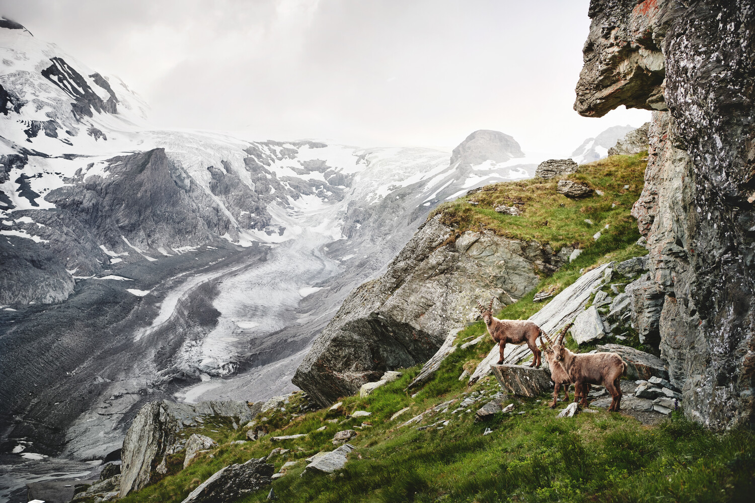 Lungo la Strada alpina del Grossglockner, sulla montagna più alta dell’Austria (anche in bici)