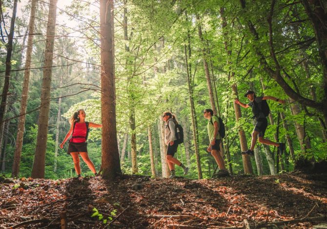 Forest Bathing nel Garda Trentino a misura di famiglia