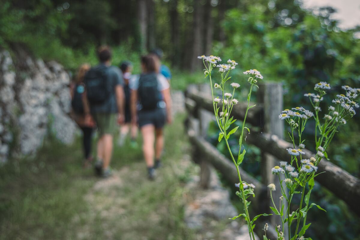 Forest Bathing nel Garda Trentino a misura di famiglia