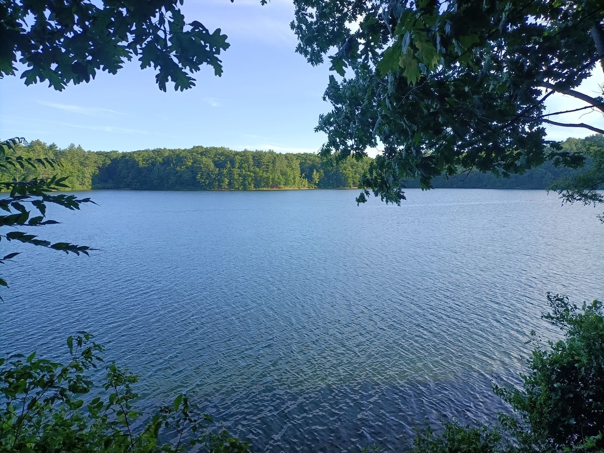 Pellegrinaggio a Walden Pond