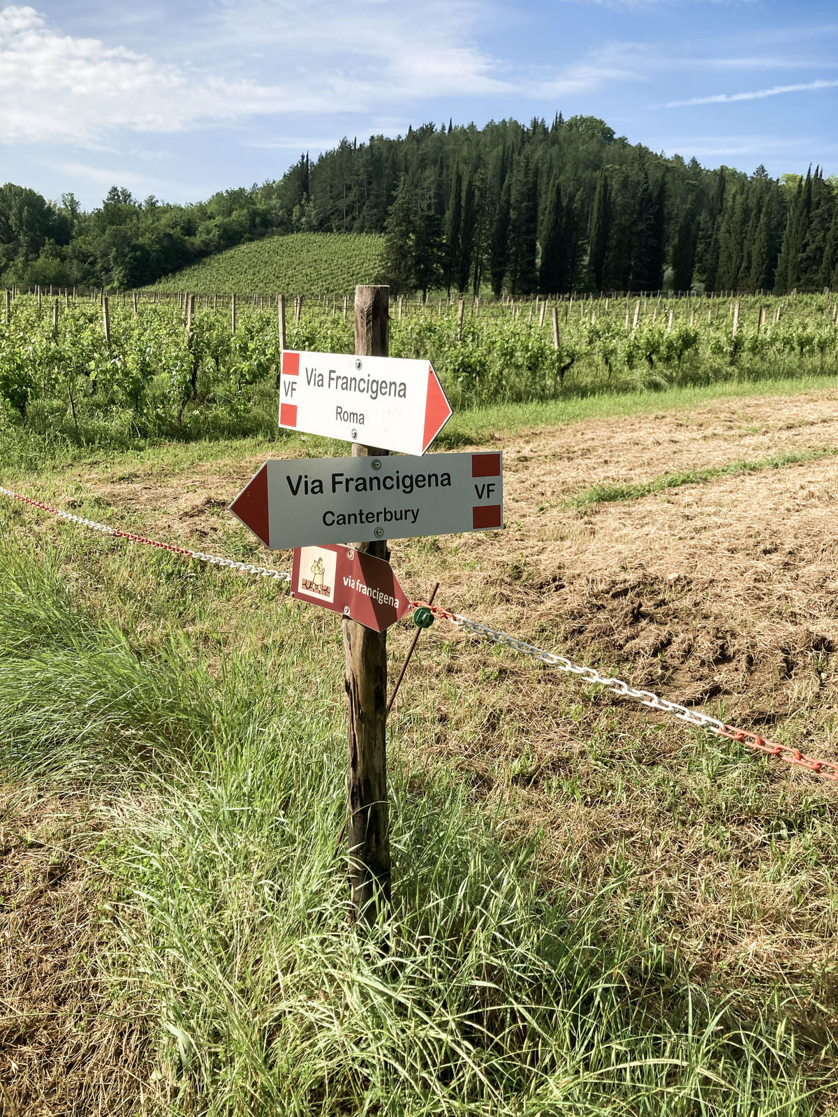 I tre prodotti indispensabili per il tuo primo cammino (e come non sbagliare a sceglierli)