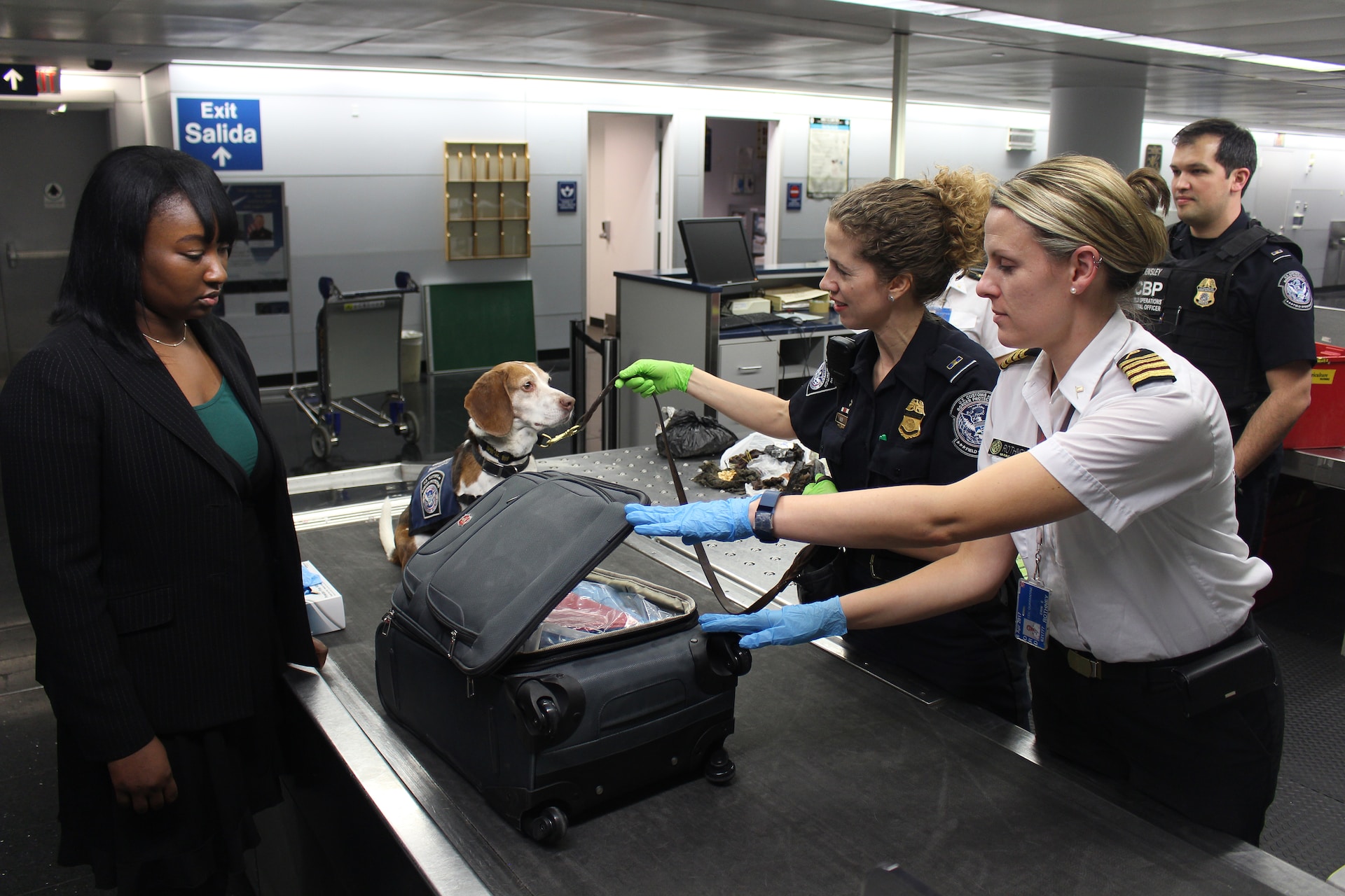In aereo col cane: 5 consigli per volare con Fido
