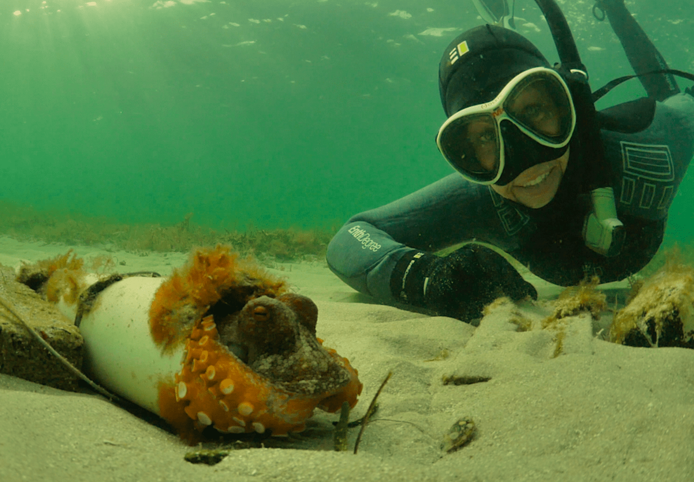 L'Ocean Film Festival torna in tour nei cinema