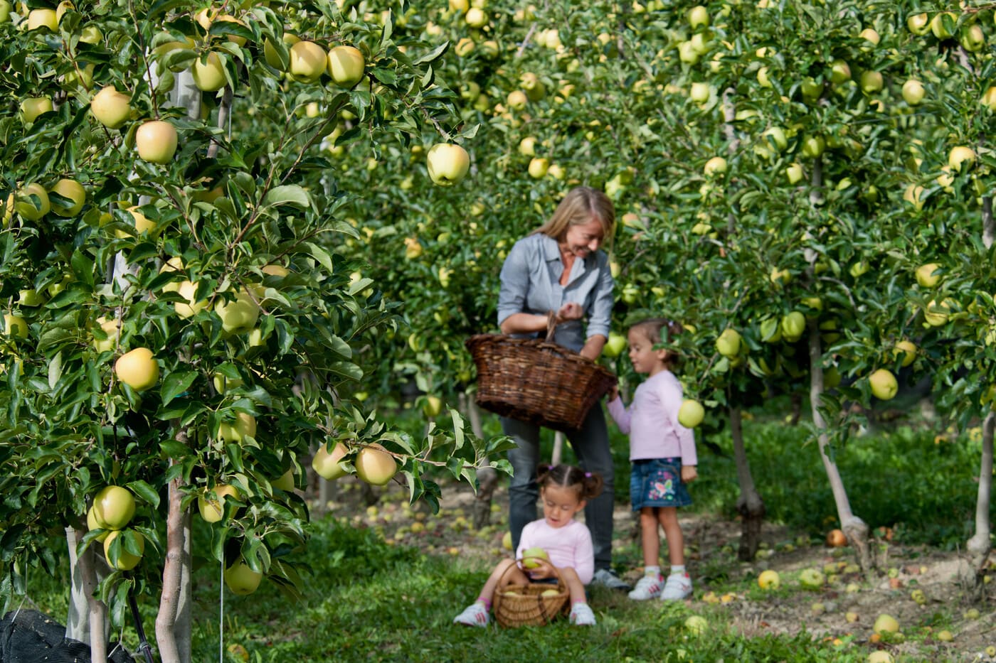 Autunno in Valle d'Aosta tra foliage ed enogastronomia