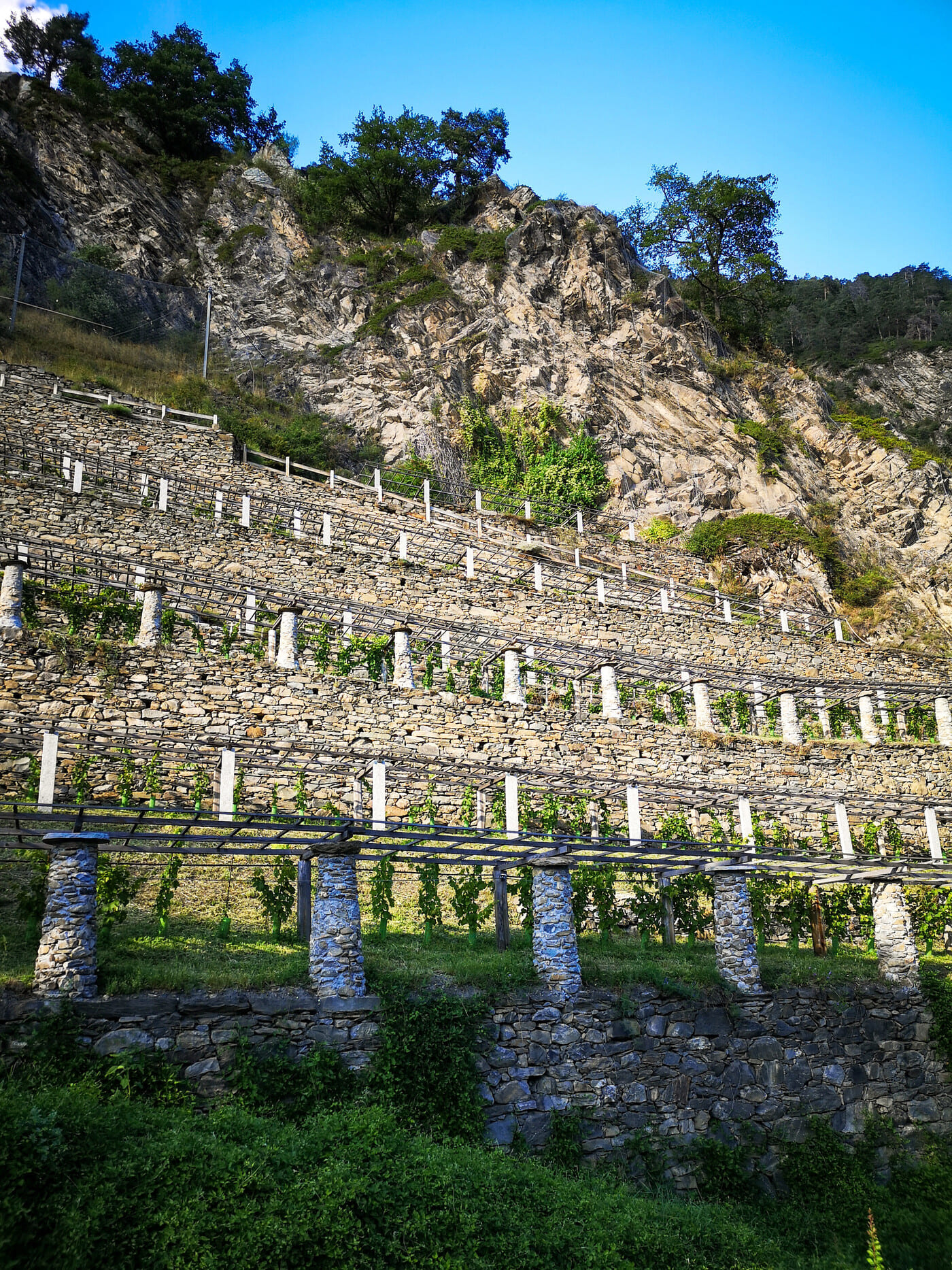 Autunno in Valle d'Aosta tra foliage ed enogastronomia