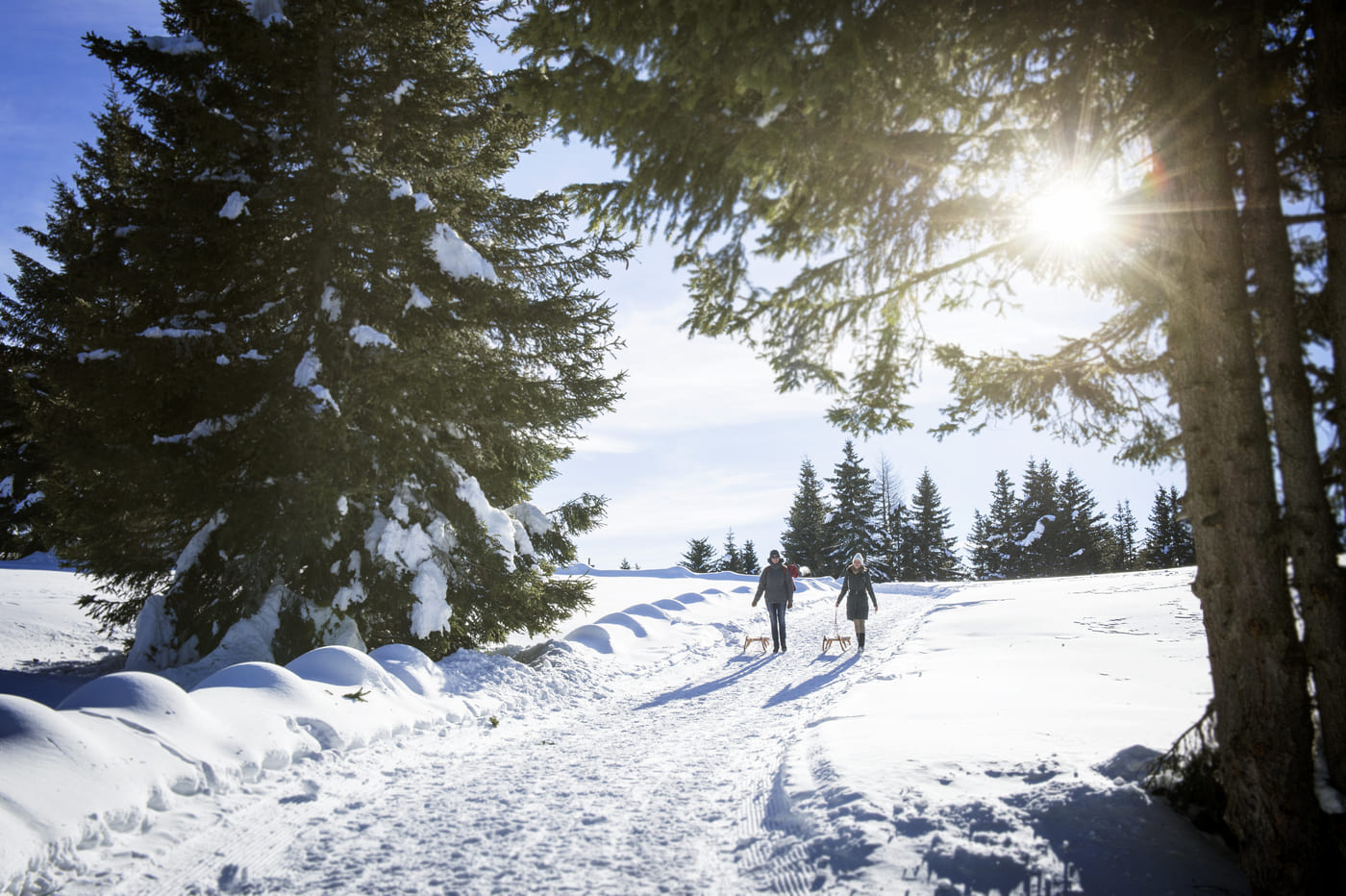 Lana in Alto Adige: l'inverno magico della natura di Monte San Vigilio