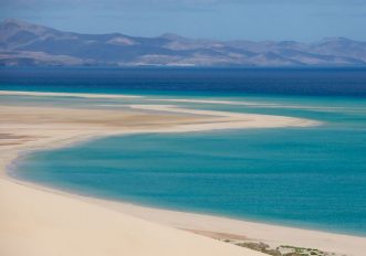 canarie-mindfulness