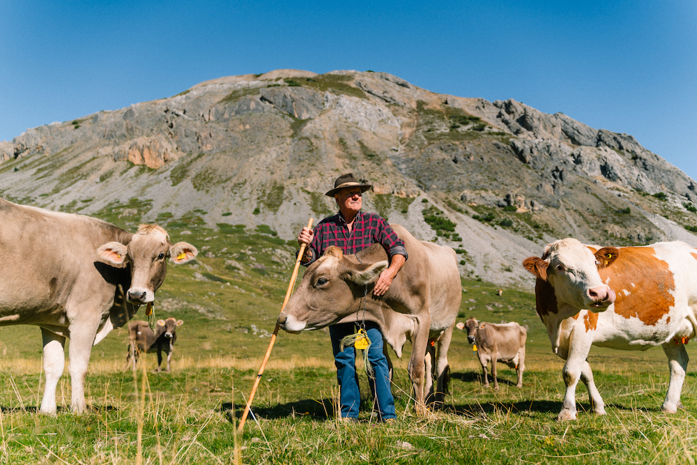 Valtellina-alpeggi