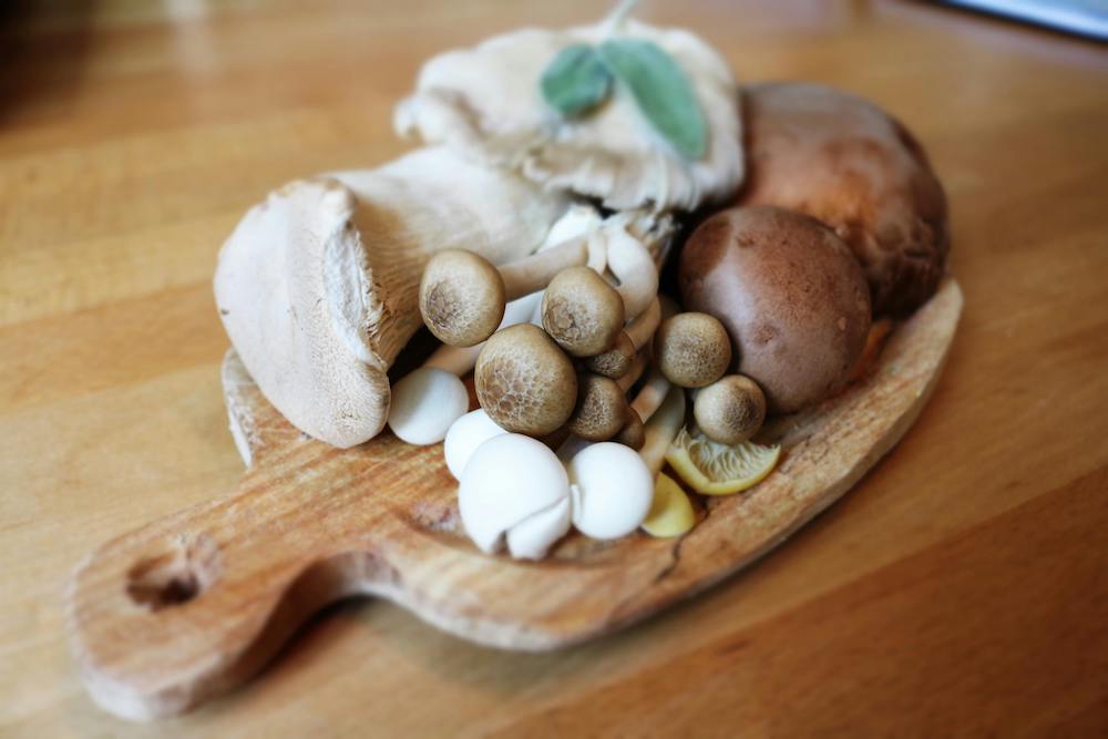 funghi-ricette