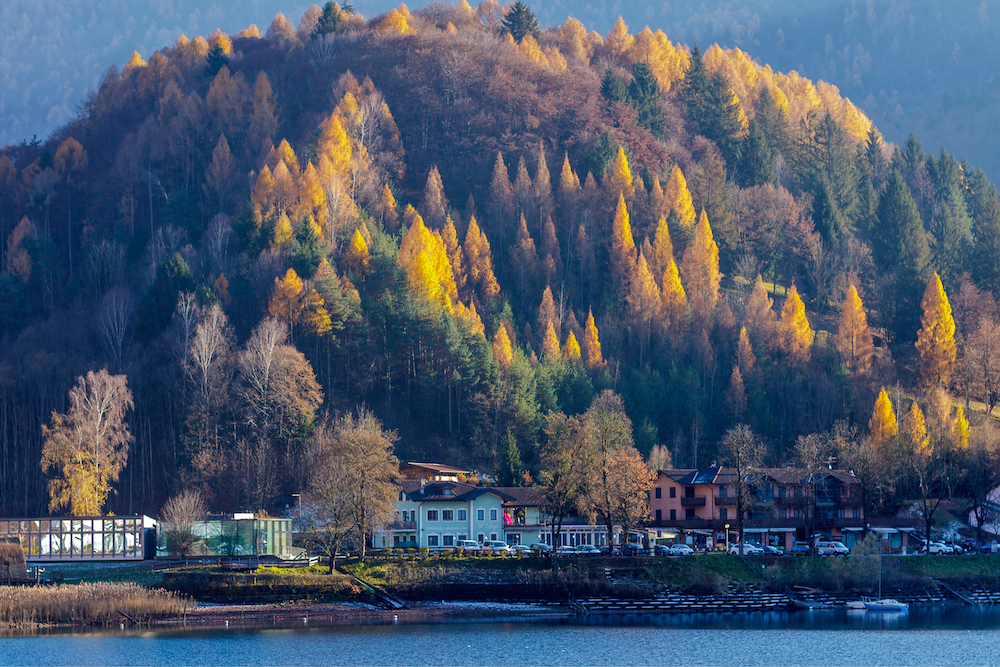 ledro