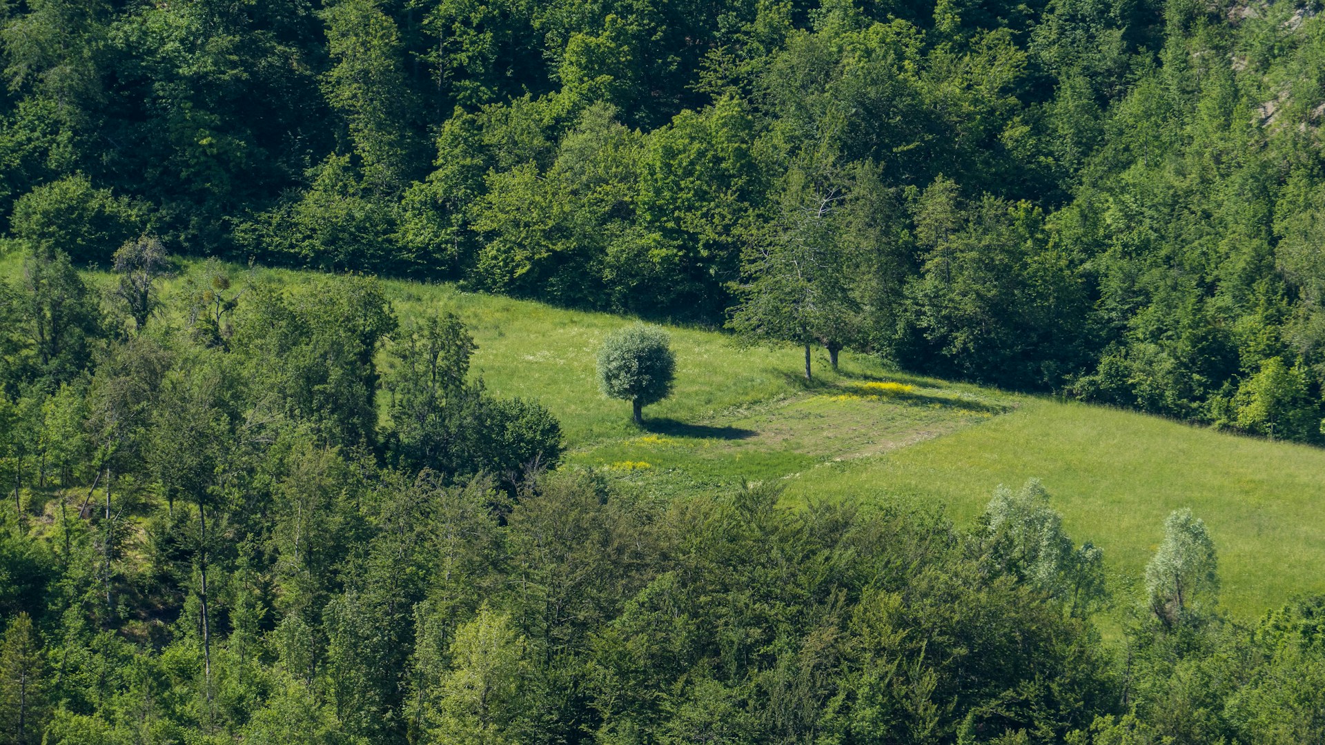 Le 5 Migliori Escursioni Primaverili in Emilia Romagna