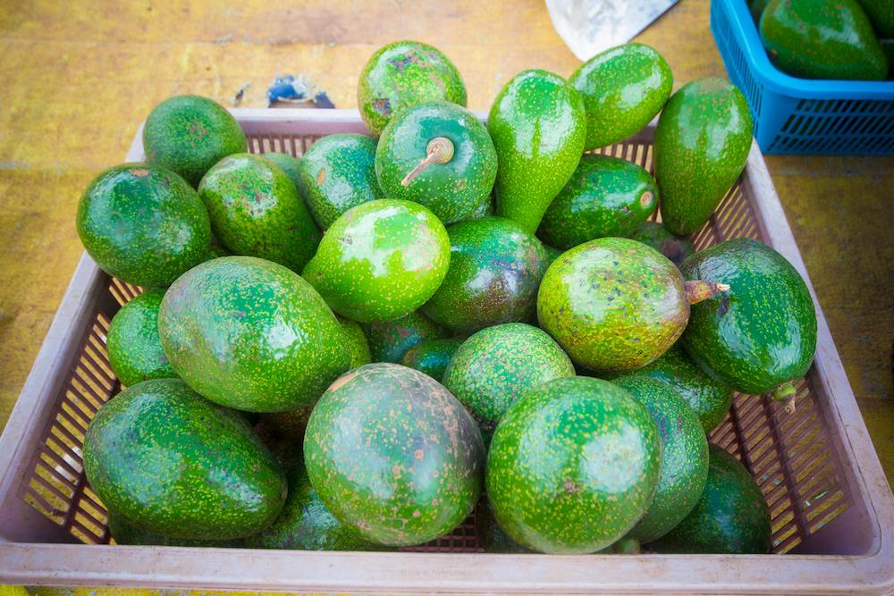 avocado-sostenibile