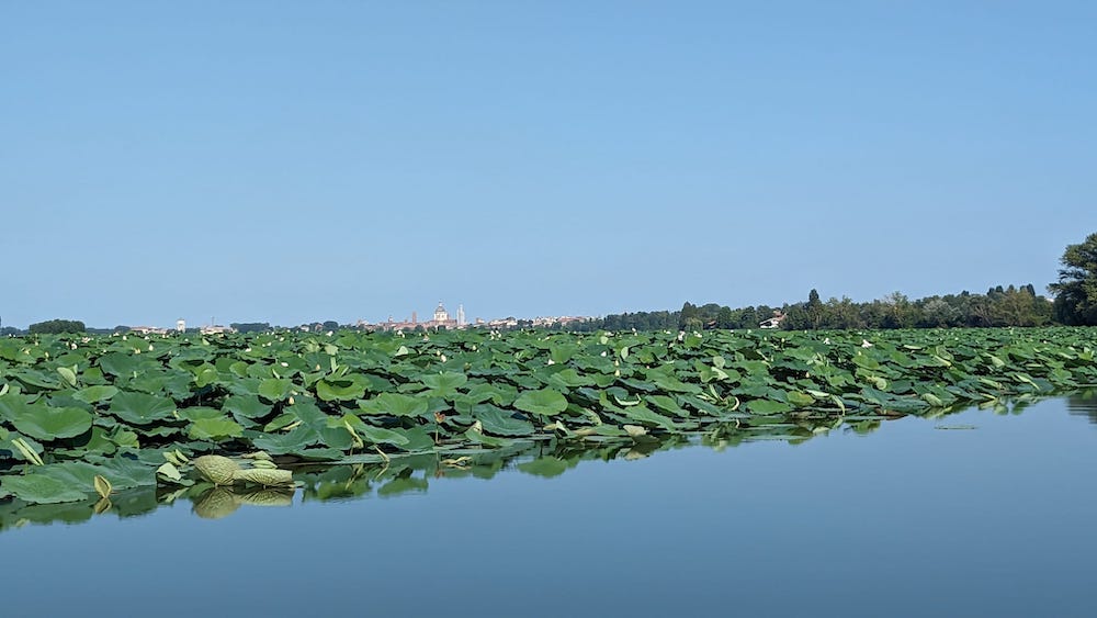 mincio-estate